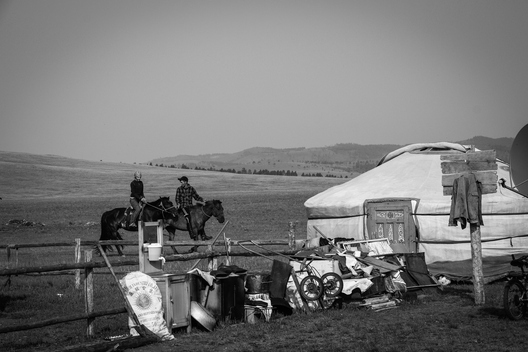 Ancient mobile pastoralism